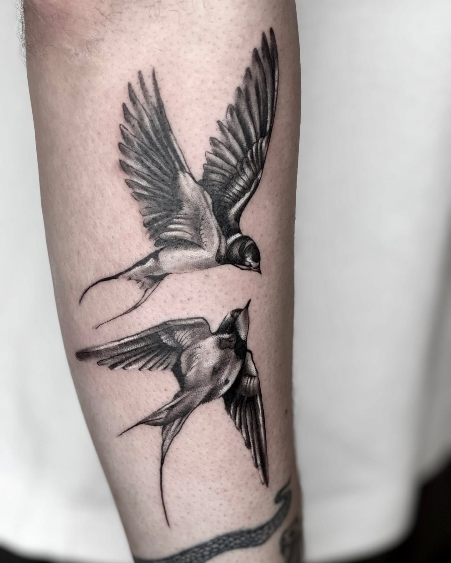 Ön kol uçan iki kırlangıç dövmesi — yumuşak gölgeli black & grey | Titan Ink Gallery Samsun